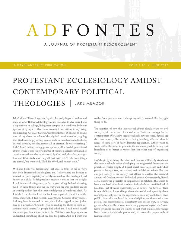 Cover of Ad Fontes I.X