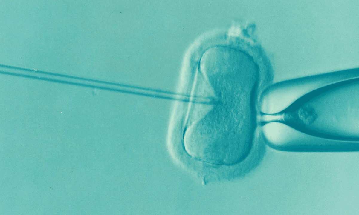 Approaching IVF By the Back Door