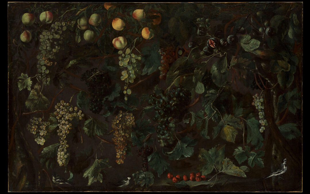 Abiding in the Vine: Apostolic Authority and Spiritual Discernment in 1 John 2:24-27